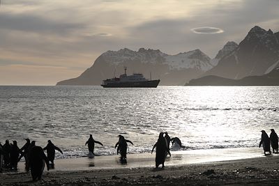 Bateau Plancius - Géorgie du Sud