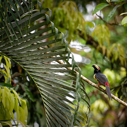 Randonnée Salvador