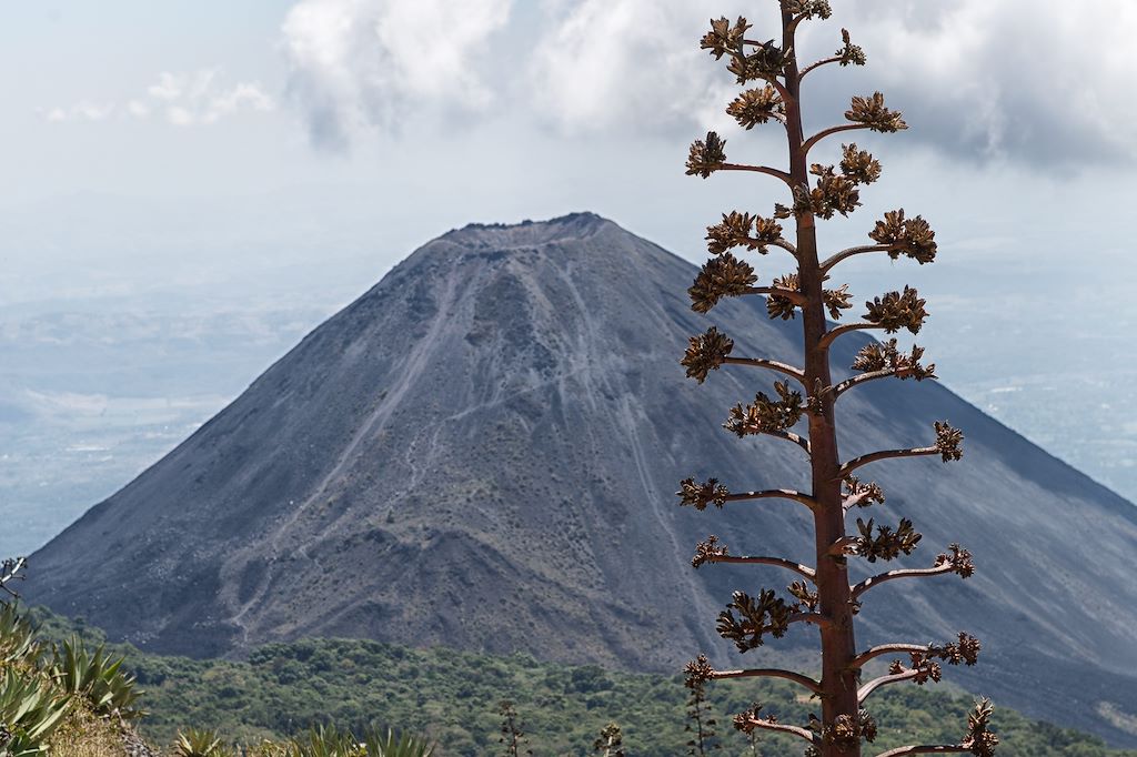Image Ascension volcan Ilamatepec - Route des Fleurs - Ville Coloniale de Suchitoto
