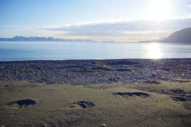 Voyage Clean Up Svalbard - Opération plages propres 2