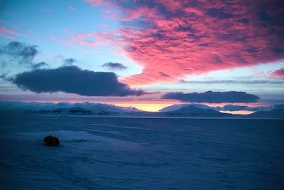 Voyage Svalbard : Histoire et découverte de Kvitøya 2