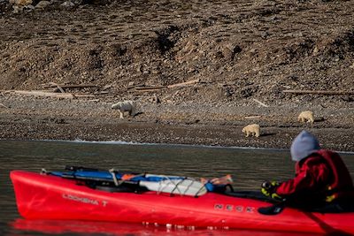 Voyage Kayak en baie du Roi 2