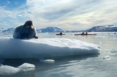 Phoque et kayak - Spitzberg - Norvège