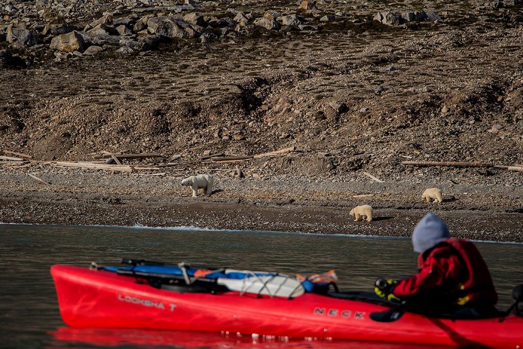 Voyage En kayak sur les rives de l'océan glacial arctique 2