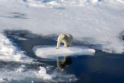 Voyage Cap sur les glaces du Spitzberg 3