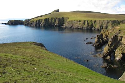 © Erwin Vermeulen/Oceanwide Expeditions - Fair Isle - Ecosse Fair Isle - Ecosse
