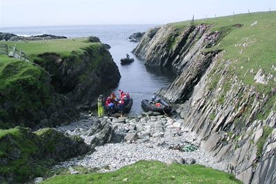 © Maurits Morzer Bruyns/Oceanwide Expeditions - Fair Isle - Ecosse Fair Isle - Ecosse