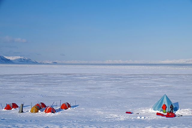 Voyage : Sur les traces de l'ours Voyage Sur les traces de l'ours