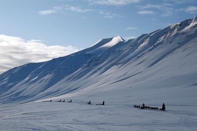 Traîneau à chiens - Spitzberg - Norvège