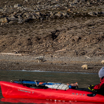 Kayak et canoë Spitzberg
