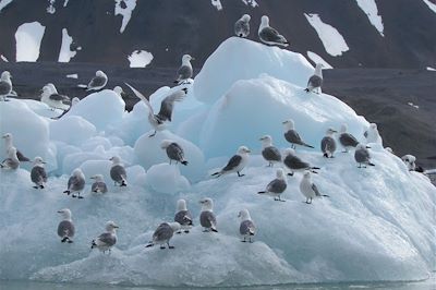 Spitzberg - Archipel du Svalbard - Norvège