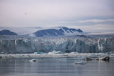 Glacier Negribreen - Spitzberg 