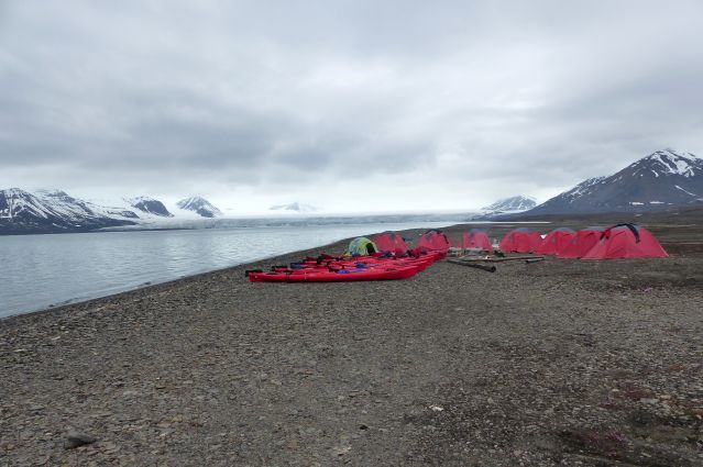 Image Les glaciers de l'Isfjord