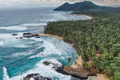 São Tomé, l'île cacao-café