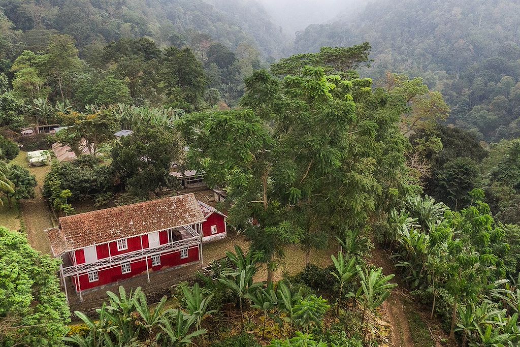 Image Randonnée Sao Tomé - Les Roças - Ecolodge Mucumbli