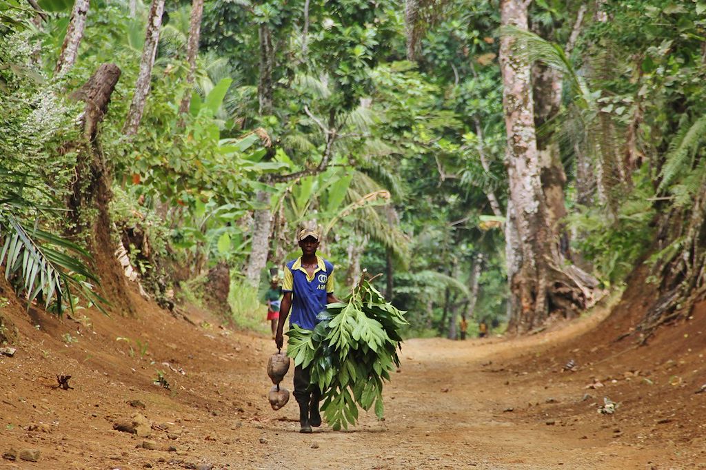 Image Voyage sur l'île de Sao Tomé – nature, culture et détente en 9 jours