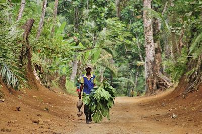 © Théophile Lautrey - Mato - Sao Tomé Mato - Sao Tomé