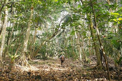 © Charlotte Bourdin-Habert - L'îlot de Rolas - Sao Tomé-et-Principe L'îlot de Rolas - Sao Tomé-et-Principe