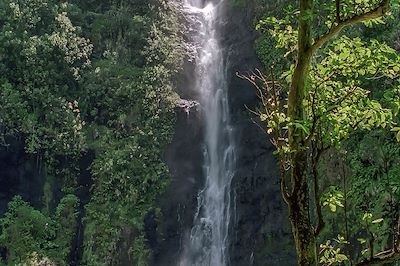 Cascade - Gabon