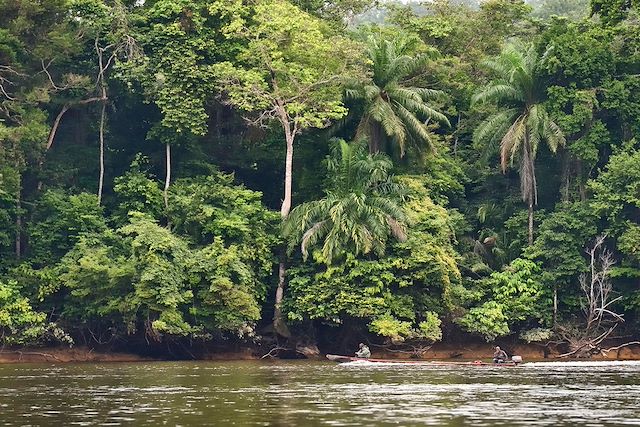 Safari Gabon