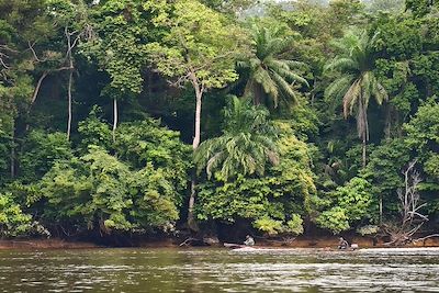 Fleuve Ogooué - Lambaréné - Gabon