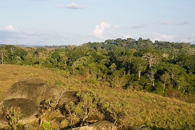 Parc national de la Lopé - Gabon