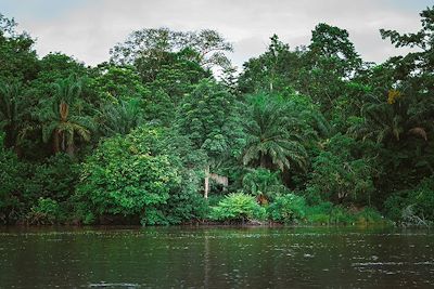 Lambaréné - Gabon