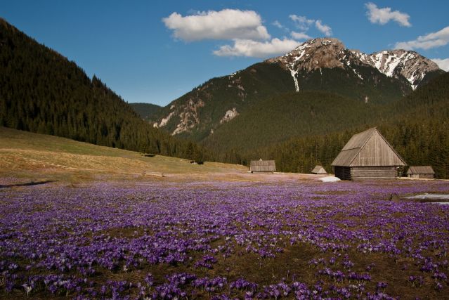 Massif des Tatras - Pologne