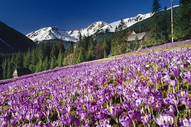 Voyage Les Carpates, des Tatras au Paradis slovaque