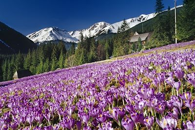 Tatras - Carpates - Pologne