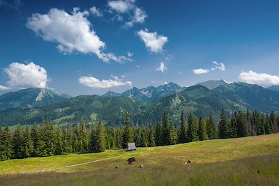 Bacówka Stanislawa Rychtarczyka Rusinowa Polana - Tatras - Pologne