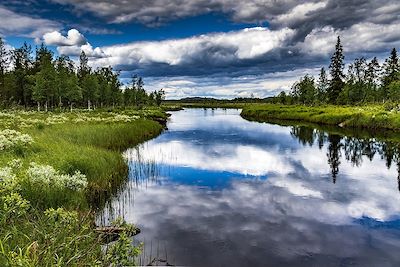 Voyage Forêts, collines, rivières et lacs Suède