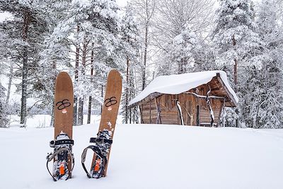 Ski de fond et ski nordique