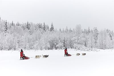 Aurores boréales Suède