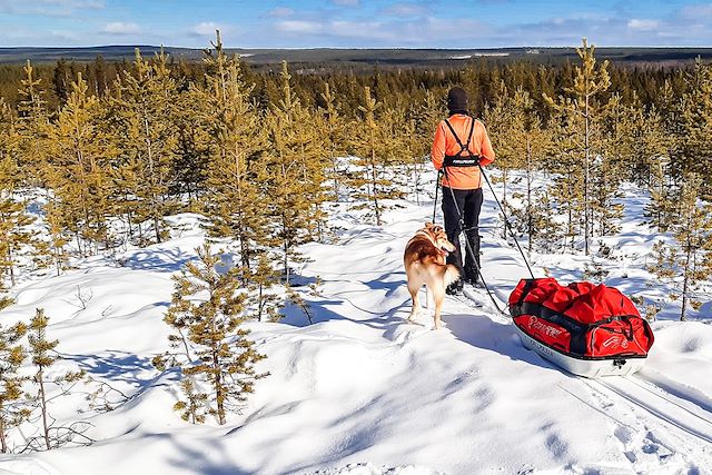 Traîneau à chiens : Raid en ski Altaï et chien de traineau Voyage Raid en ski Altaï et chien de traineau