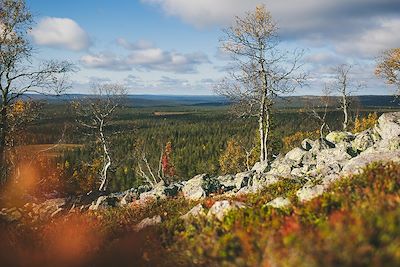 Parc national de Pallas-Yllästunturi - Laponie - Finlande