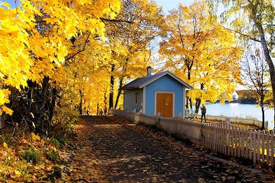 Voyage Aventure d'automne en Laponie 3