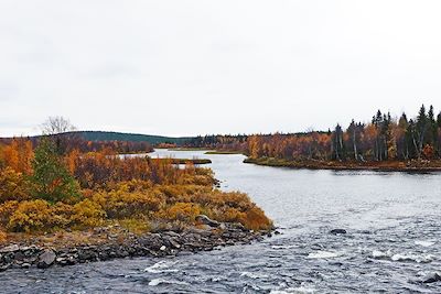 Les bras de la rivière Muonio - Suède