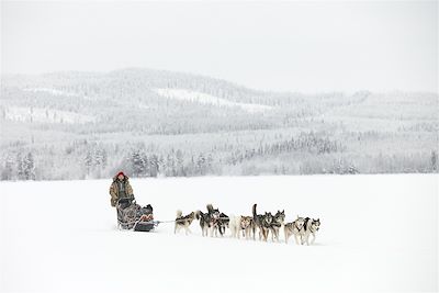 Voyage Traîneau à chiens au pays des Sami 2