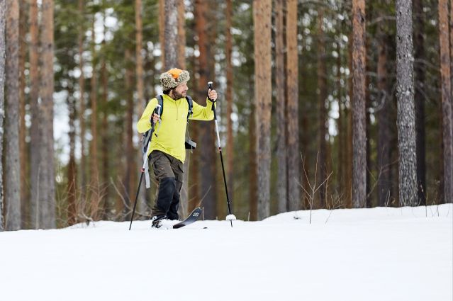 Image Dans les forêts de Laponie