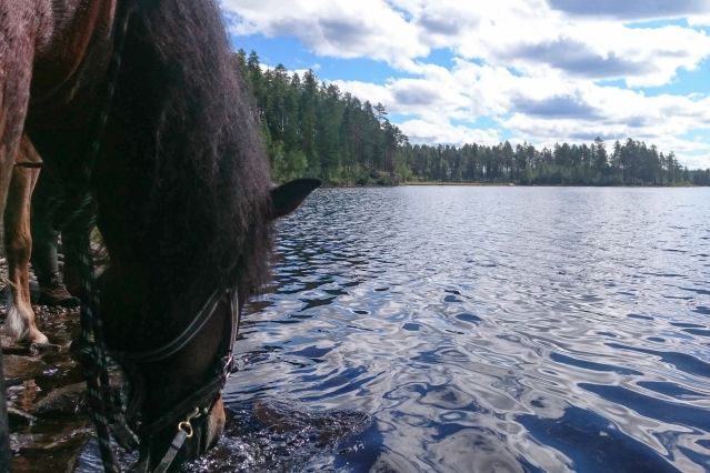 Voyage Voyage en famille au rythme de la nature suédoise 3