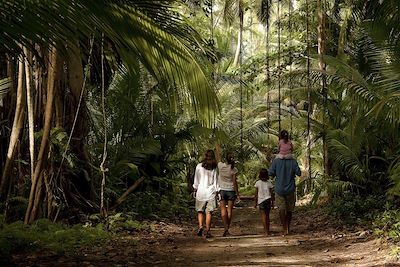 Denis Island - Seychelles