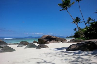 La Belle Tortue - Silhouette - Seychelles 