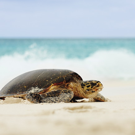 Découverte Seychelles