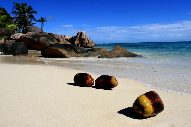 Image Echappée belle aux Seychelles