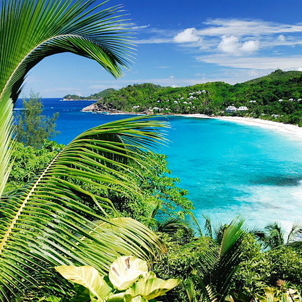 Baignade - Snorkeling Seychelles