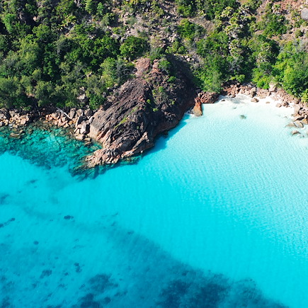 Baignade - Snorkeling Seychelles