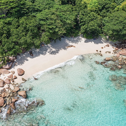 Baignade - Snorkeling Seychelles