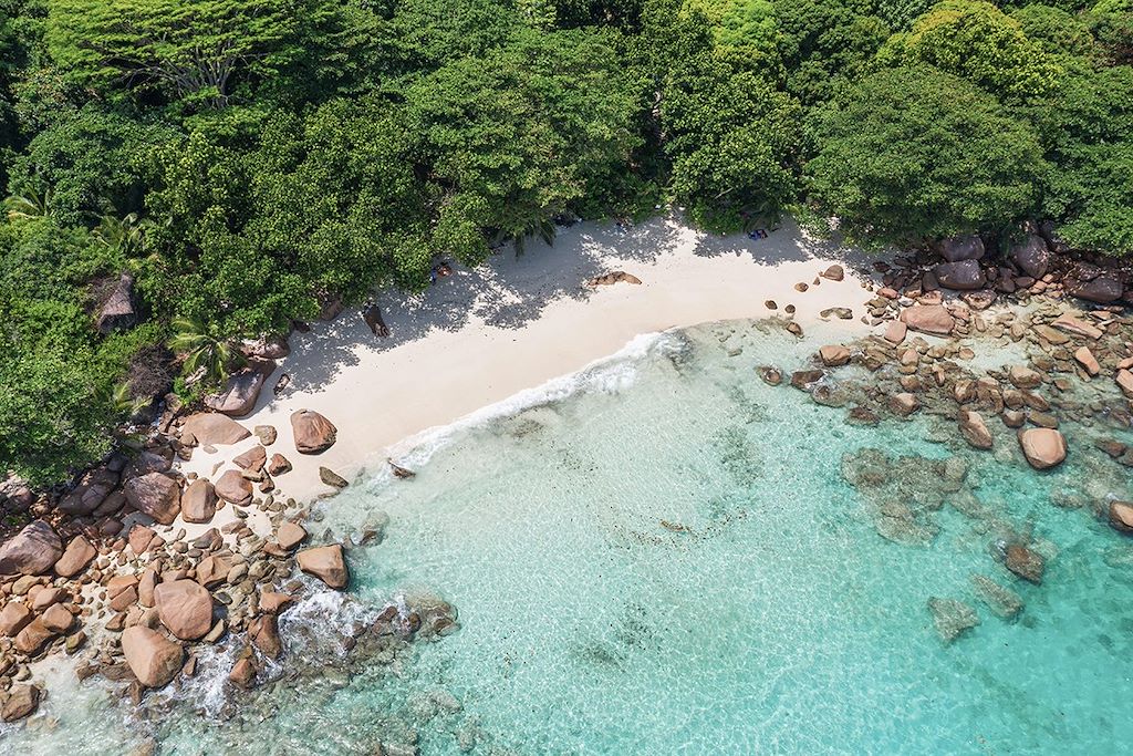 Image Praslin - vallée de mai - vélo à la Digue - Mahé - voyage aux seychelles