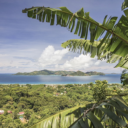 Baignade - Snorkeling Seychelles